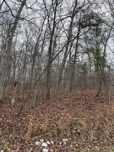 Other - 3504 E Fork Rd, Means, KY 40346 photo 6 of 7