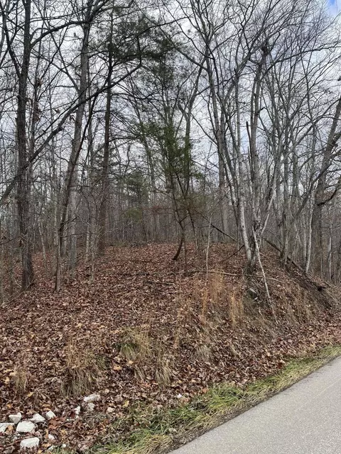 Other - 3504 E Fork Rd, Means, KY 40346 photo 7 of 7