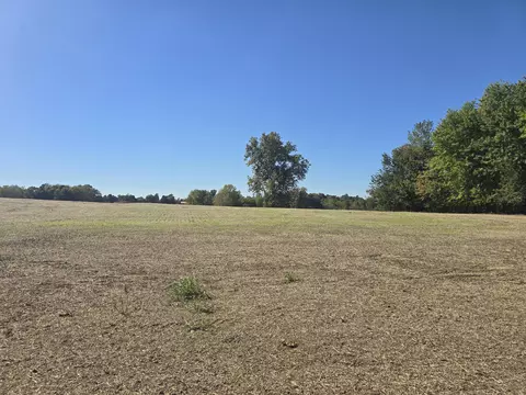 Tract Iii N State Route 295, Kuttawa, KY 42055