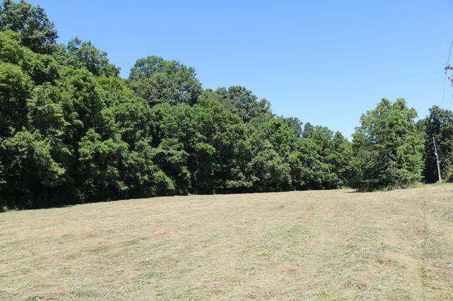 1 Dog Walk Rd # -A, Carlisle, KY 40311