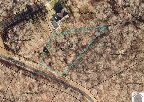 112 Eagle Look Ln, Murray, KY 42071 photo 2