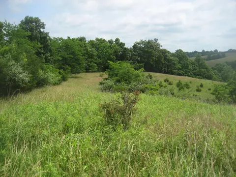 0000 Spider Rd, Berry, KY 41003 photo 34