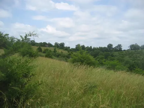 0000 Spider Rd, Berry, KY 41003 photo 24