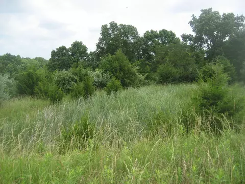 0000 Spider Rd, Berry, KY 41003 photo 38