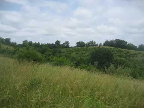 0000 Spider Rd, Berry, KY 41003 photo 25