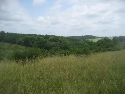 0000 Spider Rd, Berry, KY 41003 photo 29
