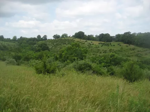 Other - 0000 Spider Rd, Berry, KY 41003 photo 34 of 36
