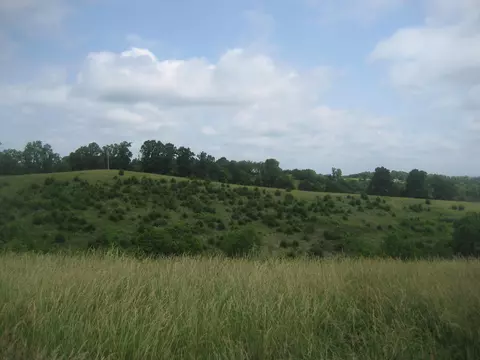 0000 Spider Rd, Berry, KY 41003 photo 9