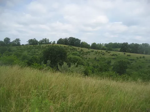 0000 Spider Rd, Berry, KY 41003 photo 26