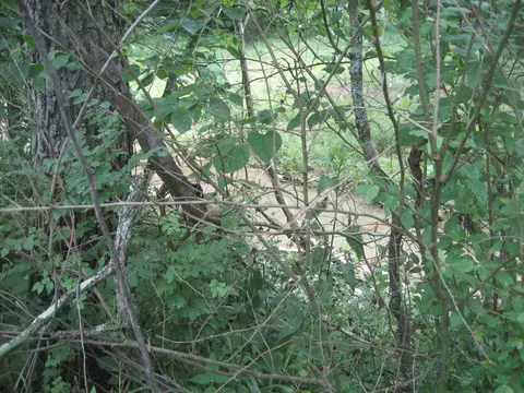 0000 Spider Rd, Berry, KY 41003 photo 39