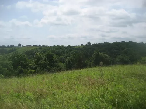 0000 Spider Rd, Berry, KY 41003 photo 37