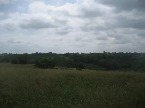 0000 Spider Rd, Berry, KY 41003 photo 14