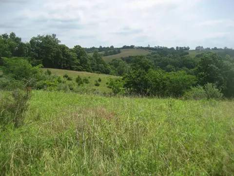 0000 Spider Rd, Berry, KY 41003 photo 35
