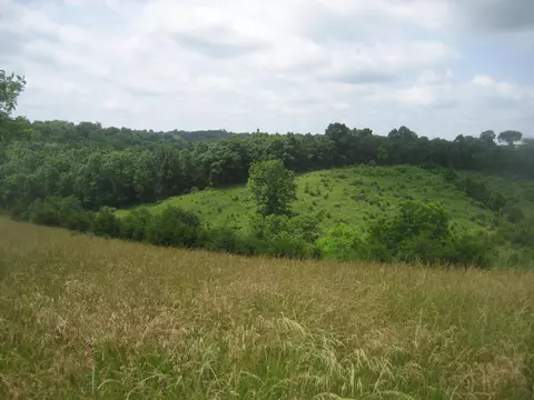 0000 Spider Rd, Berry, KY 41003 photo 22