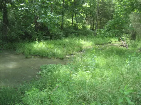 0000 Spider Rd, Berry, KY 41003 photo 43