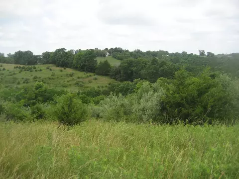 0000 Spider Rd, Berry, KY 41003 photo 46