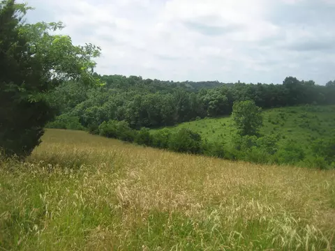 0000 Spider Rd, Berry, KY 41003 photo 23