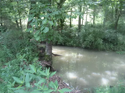 0000 Spider Rd, Berry, KY 41003 photo 41
