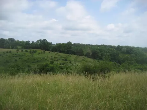 0000 Spider Rd, Berry, KY 41003 photo 28