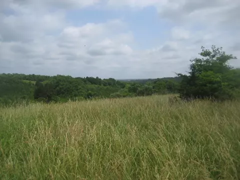 0000 Spider Rd, Berry, KY 41003 photo 33