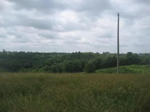 0000 Spider Rd, Berry, KY 41003 photo 15