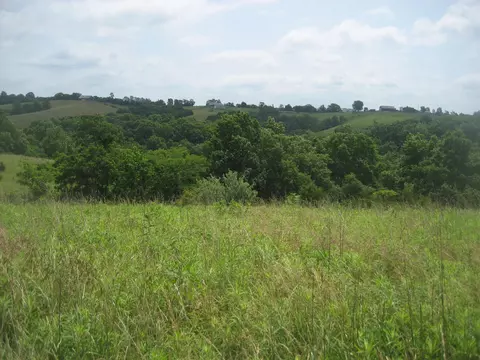 0000 Spider Rd, Berry, KY 41003 photo 36