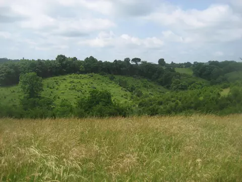 0000 Spider Rd, Berry, KY 41003 photo 21