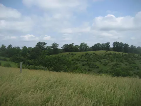 0000 Spider Rd, Berry, KY 41003 photo 8