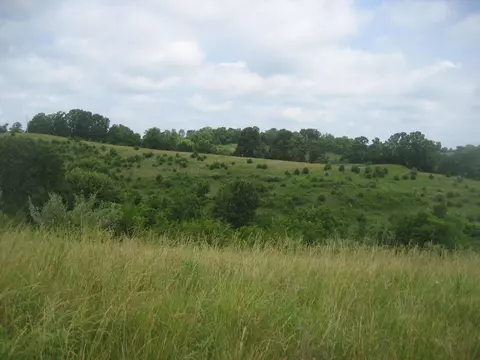 0000 Spider Rd, Berry, KY 41003 photo 27