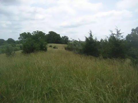 0000 Spider Rd, Berry, KY 41003 photo 31