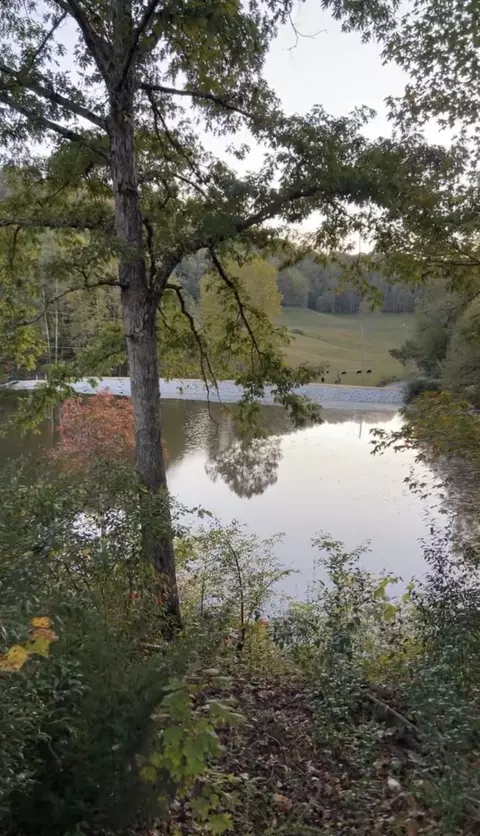 775 Powell Branch Rd, Bimble, KY 40915 photo 12