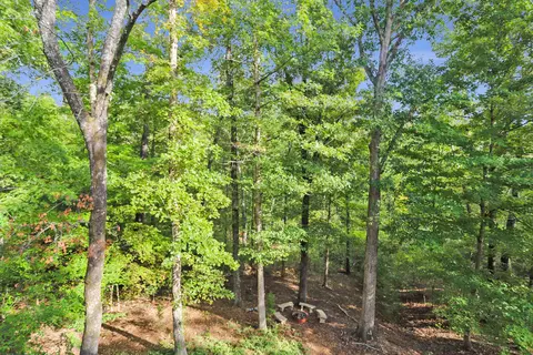 Exterior - 1386 Boatwright Trl, Murray, KY 42071 photo 3 of 8