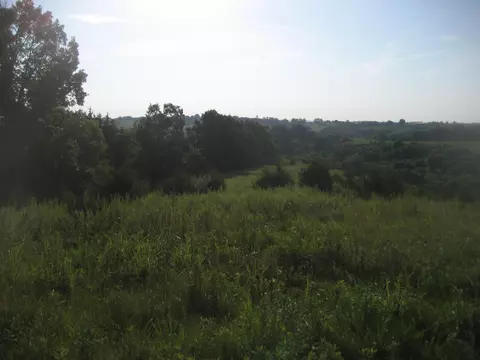 View/Area - 0001 Spider, Berry, KY 41003 photo 2 of 4