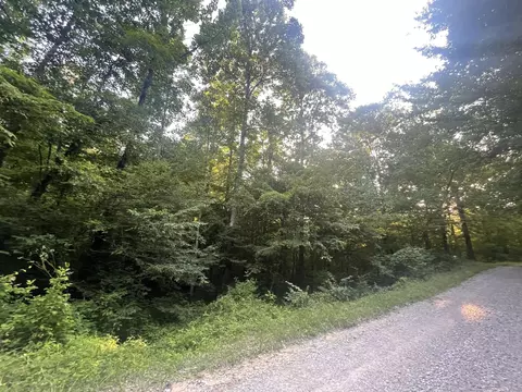 0 Cr-1127, Strunk, KY 42649 photo 3