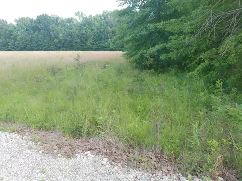 4400 Shemwell Ln, Paducah, KY 42003