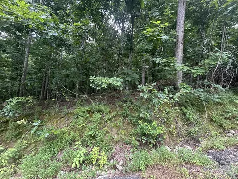 84 Mcclure Dr, Murray, KY 42071 photo 6