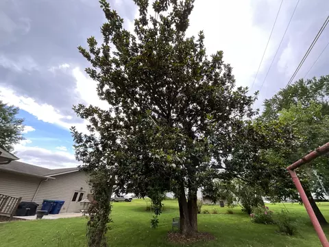 43 Collie Ln, Eubank, KY 42567 photo 84