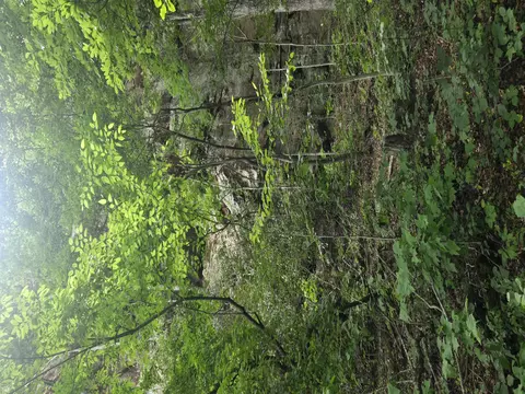 9999 Getaways Rd, Stanton, KY 40380 photo 2