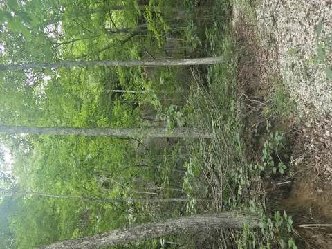 9999 Getaways Rd, Stanton, KY 40380 photo 3