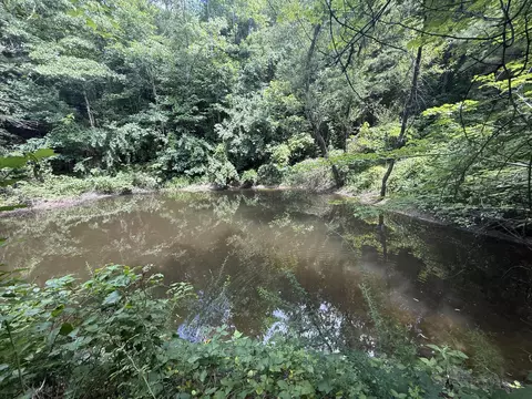 1191 W Adkins-arthur Rd, Somerset, KY 42501
