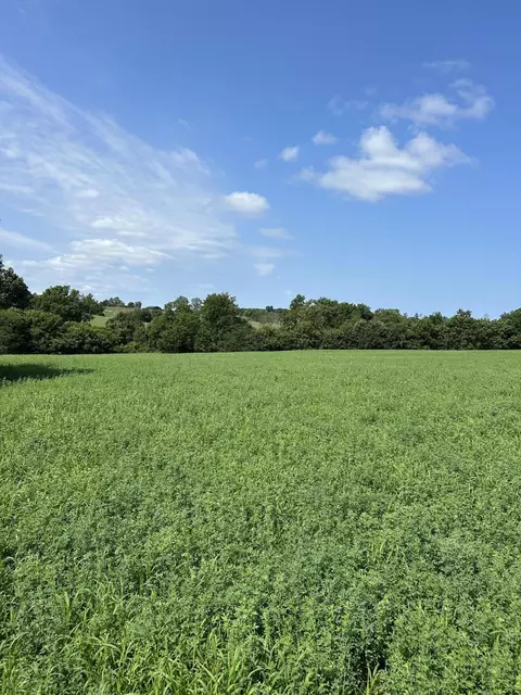 lot Apt 2 Lucy Ln, Cynthiana, KY 41031