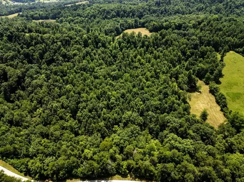 1990 State Highway 556, Sandy Hook, KY 41171 photo 19