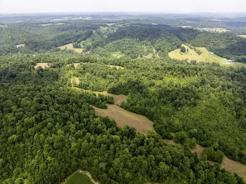 1990 State Highway 556, Sandy Hook, KY 41171 photo 8