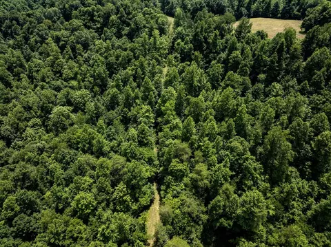 1990 State Highway 556, Sandy Hook, KY 41171 photo 17
