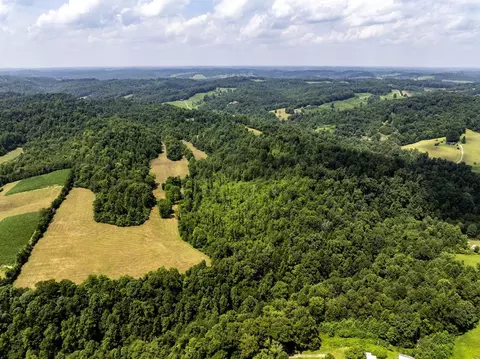 1990 State Highway 556, Sandy Hook, KY 41171 photo 10