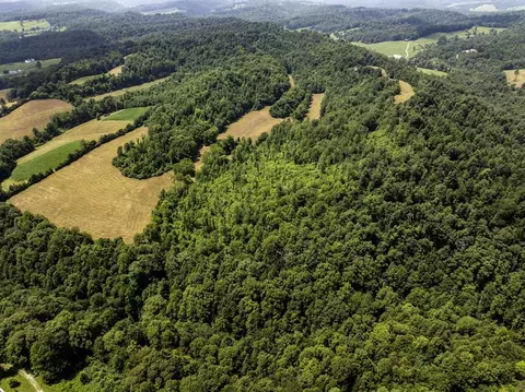 1990 State Highway 556, Sandy Hook, KY 41171 photo 11