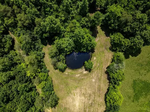 1990 State Highway 556, Sandy Hook, KY 41171 photo 16