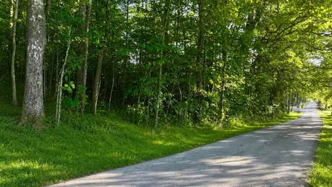 94 Roberts Ln, Nancy, KY 42544 photo 3