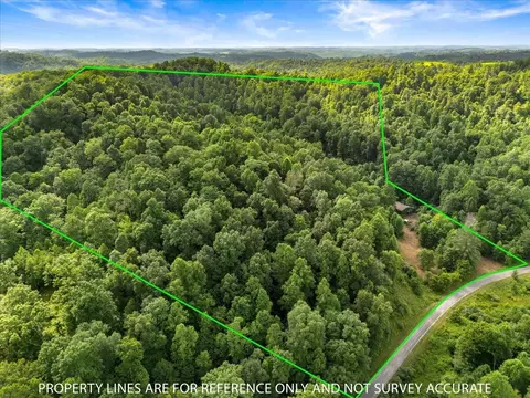 View/Area - 2661 Buncomb Rd, Tyner, KY 40486 photo 3 of 8