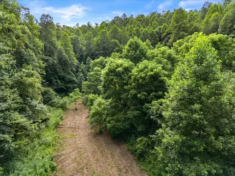 Other - 2661 Buncomb Rd, Tyner, KY 40486 photo 8 of 11